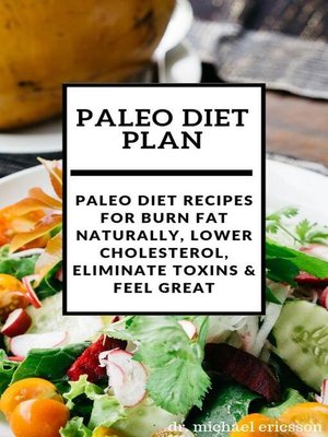 cover image of Paleo Diet Plan